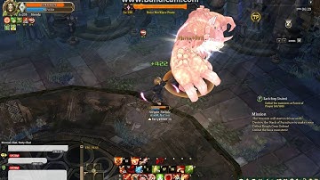 Fencer C2 Attaque Composee Dmg Demo