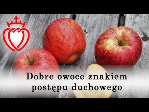 Wideo: Siostra Alyonushka I Brat Iwanuszka - Fikcja Czy Rytuał? - Alternatywny Widok