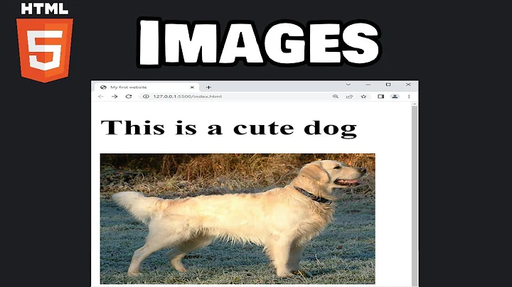 Learn HTML images in 6 minutes! 🖼️
