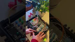 Glitching Oscillators in 54HP (@bloodcellsaudio Mangle and @NoiseEngineering Ataraxic Translatron)