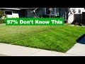 9 things regular people dont know about grass
