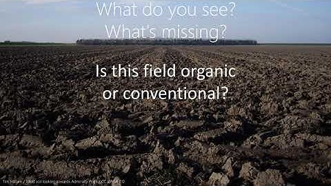 An Introduction to Regenerative Agriculture: Chapter 2, Regenerative Ag Principles