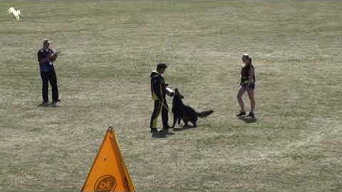 Cara Laperys - Int  Championship CKNO 2015 - IPO3 - C