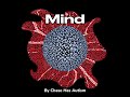 Mind (Original song)