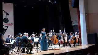 "Виртуозы Москвы" Серенада для струнного оркестра Чайковского