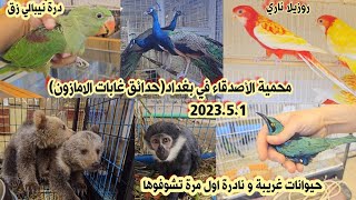 محمية الأصدقاء في بغداد لبيع وتربية الحيوانات 2023/5/1 حدائق غابات الامازون