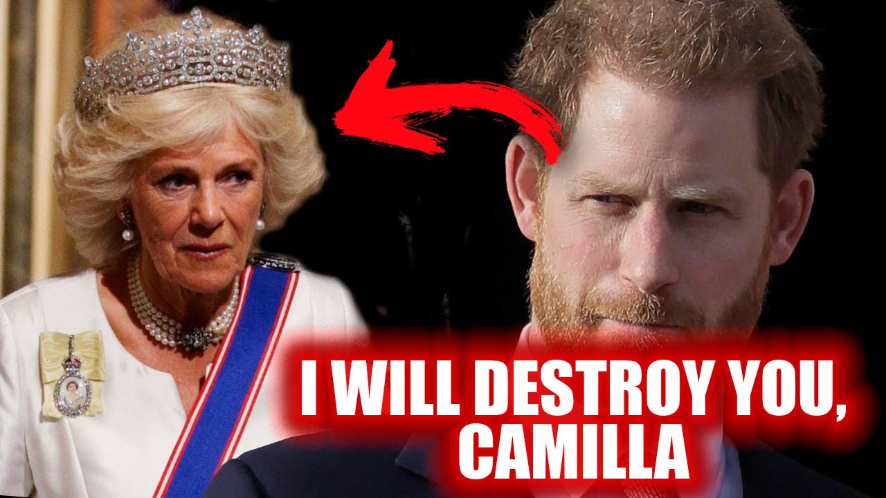 Harry reveals Camilla's scandalous secrets! Shocking revelations from