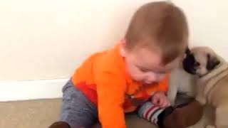 Bmofxkdnmglfknfickggo Kxnmypvkvvblfh. Bbvl Mfvl