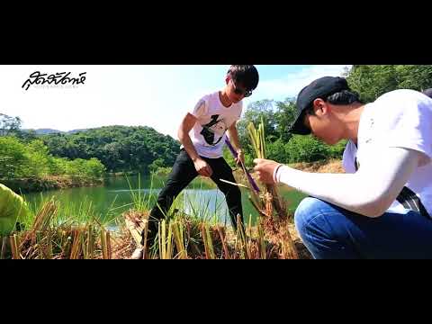 คนหล่อขอทำดี คริส-สิงโต
