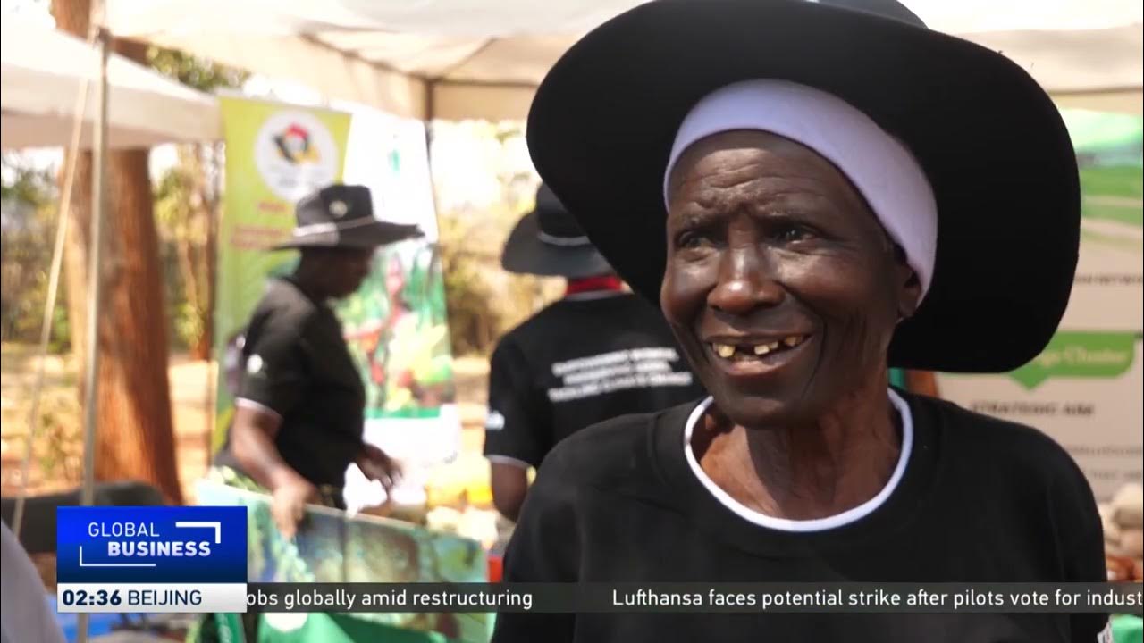 Zimbabwe urges maize farmers to adopt drought-resistant small grains