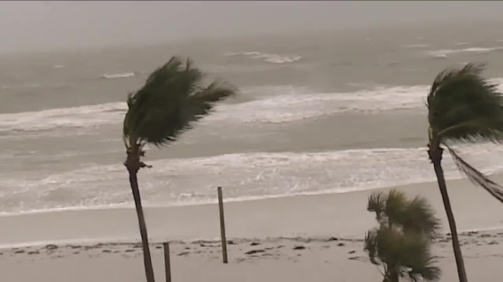 72 Hours riding out Hurricane Milton in Fort Myers Beach