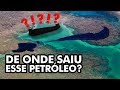 O NAVIO FANTASMA QUE ESTÁ ACABANDO COM O LITORAL BRASILEIRO? - E SE FOR VERDADE