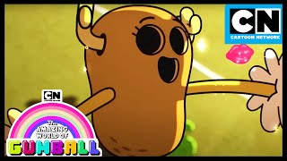 Penny is in demand | The Flower | Gumball | Cartoon Network