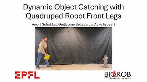 Dynamic Object Catching with Quadruped Robot Front Legs