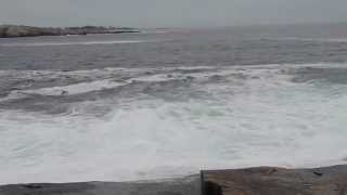 Schoodic Point High Tide, Man Using Gopro