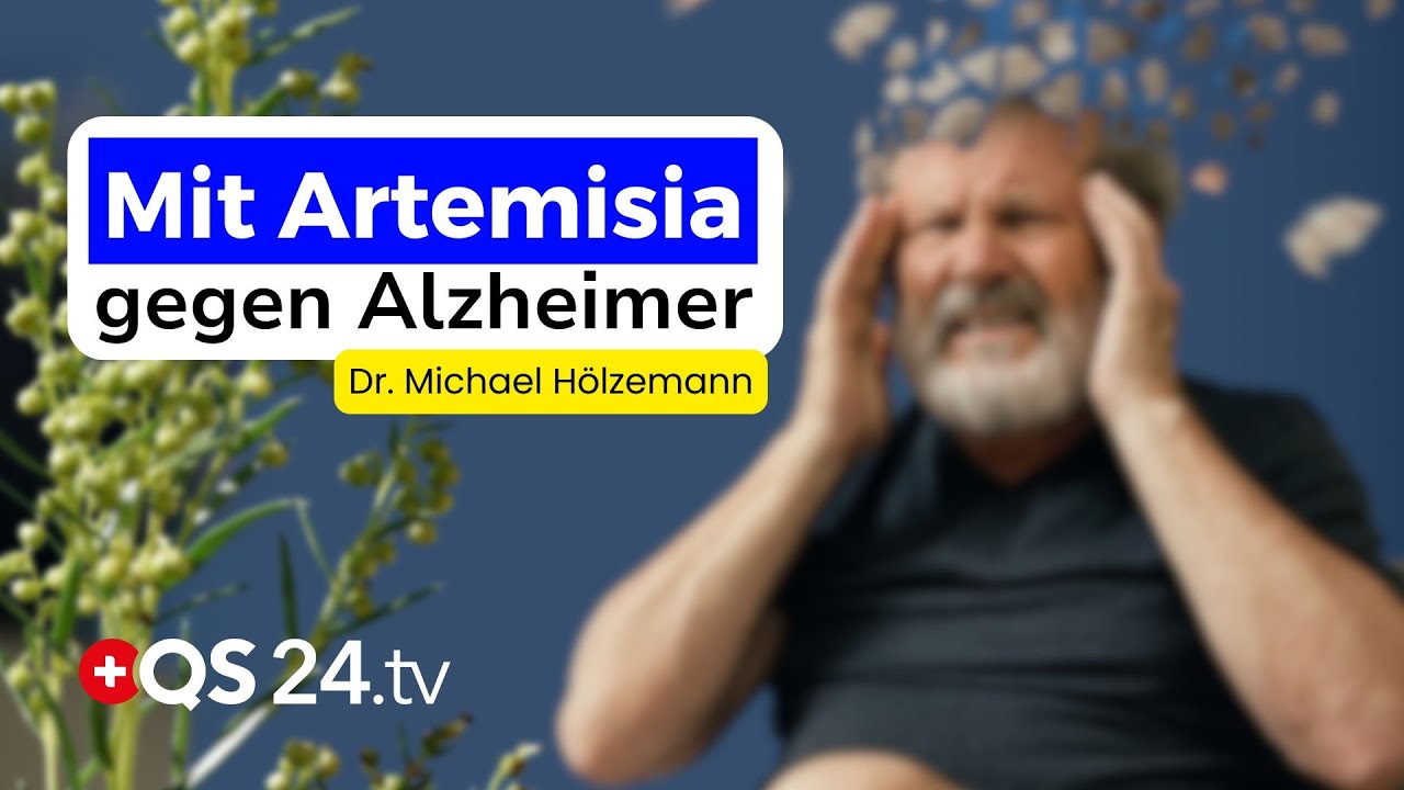 Alzheimer ist kein Schicksal – was Artemisia  im Gehirn bewirkt, überrascht selbst Experten! | QS24