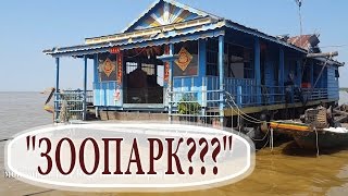 Зоопарк-паноптикум и другие приключения ♦