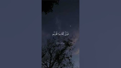 سورة الزمر بصوت الشيخ ماهر المعيقلي