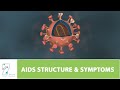 AIDS STRUCTURE &amp; SYMPTOMS