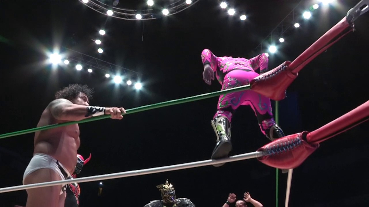 EVENTO ESPECIAL VIERNES 31 MARZO 2017 CMLL (2) casas en venta en puerto vallarta