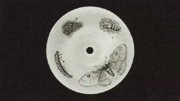 secat - moth of the world (FULL ALBUM)