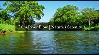 Tranquil River Flow | Relaxing Nature Sounds for Mindfulness and Serenity
