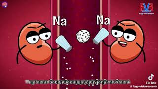 តោះមកយល់ដឹងពីការសម្រកគីឡូ😉