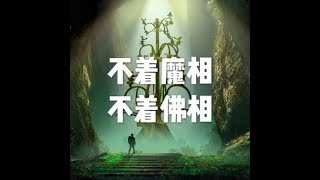 201607 不着魔相　不着佛相25331