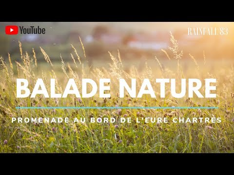 Balade Nature Promenade Au Bord De L Eure Chartres