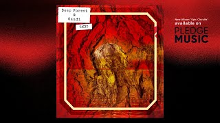 Video thumbnail of "Deep Forest & Gaudi - Taiyo (LP Version) (Audio)"