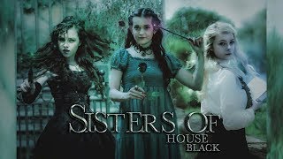 Sisters Of House Black- All Character Trailers Indiegogo Concept