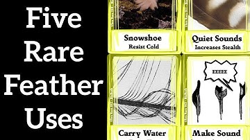 Five Rare Feather Uses - Feather Function #3