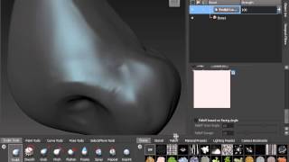 0203 Mudbox 2014 Reading and Surface Detail)