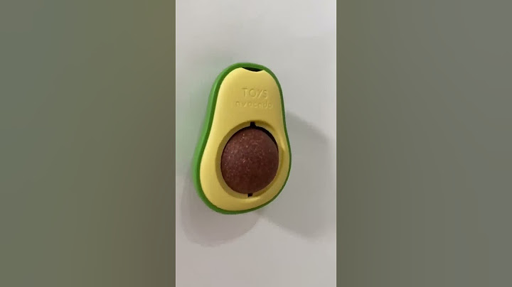 PROVO GADGET per PET: l’AVOCADO magico per GATTI!🫢🥑😻 #gadgets #pet #cat #gatto #dog #cane
