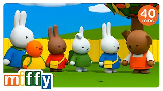 Miffy's Picnic | Miffy | Cartoons for kids