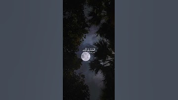 تصاميم قرآنيه | تلاوة من سورة ابراهيم | القارئ فارس عباد🤍🎧.‍
