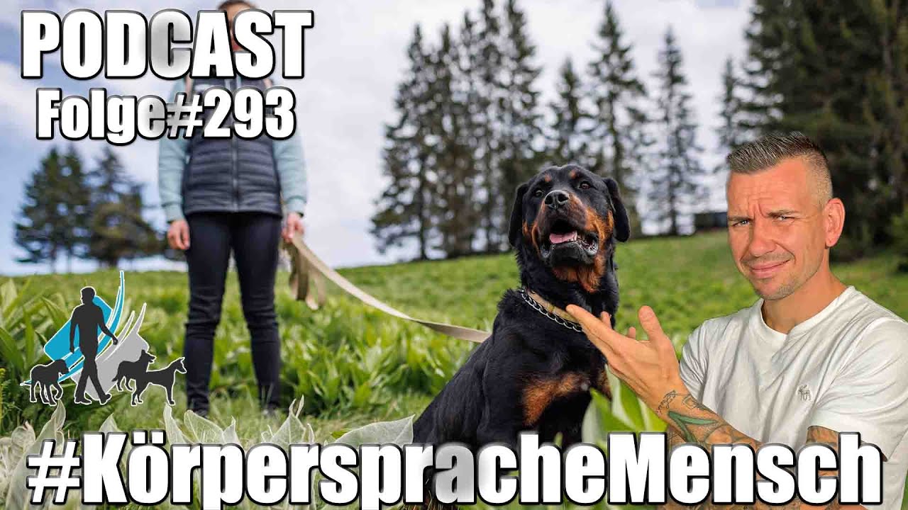 Körpersprache Mensch