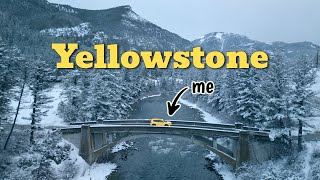 Yellowstone in the Dead of Winter