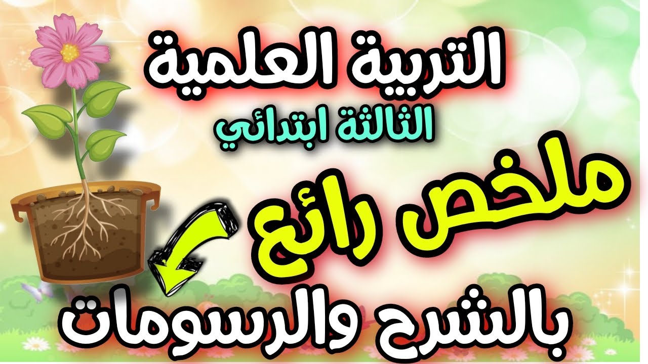 تلخيص رائع لكل دروس التربية العلمية السنة الثالثة ابتدائي الفصل الثاني