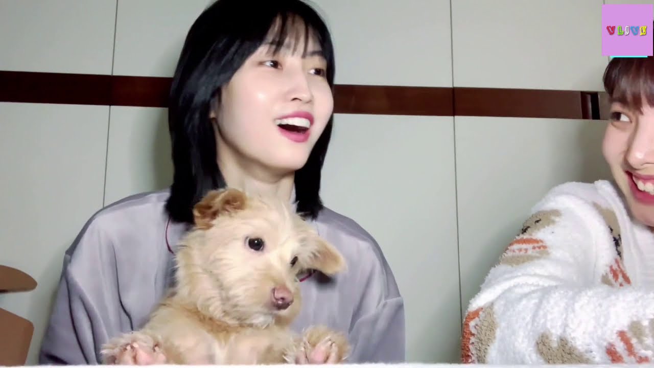 Twice Momo & Nayeon VLive (2/4) Eng Sub - YouTube