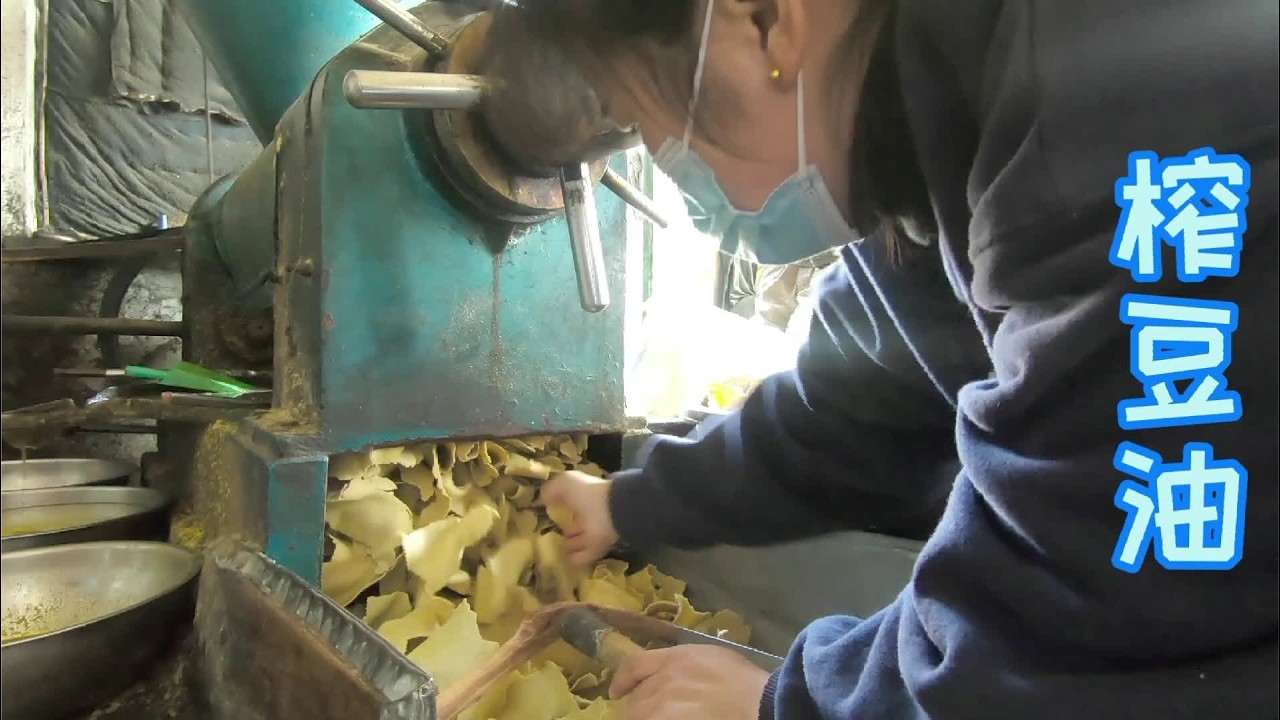 东北农村姑娘都当儿子使？黄豆2块7一斤，100斤才能榨15斤豆油？ #三农  #豆油  #热门