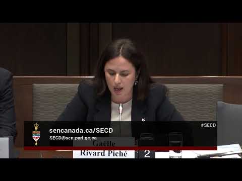 Dr Gaëlle Rivard Piché Calls For Faster Military Modernization CDAI In Parliament