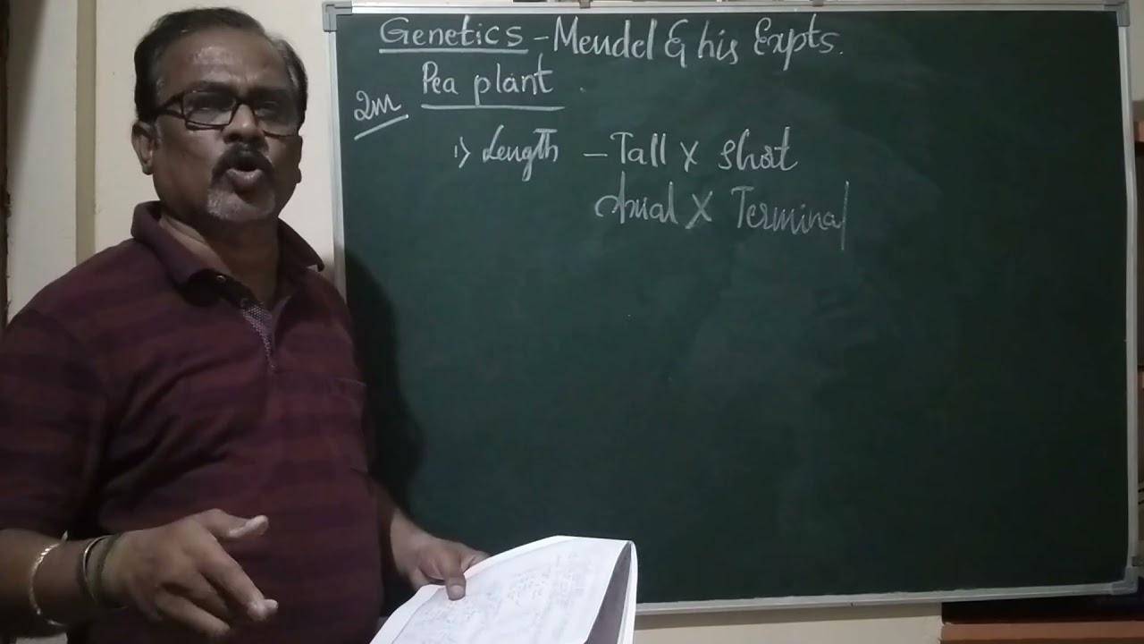 Generics Sem 6 -Mendel and his Experiments-Part 2