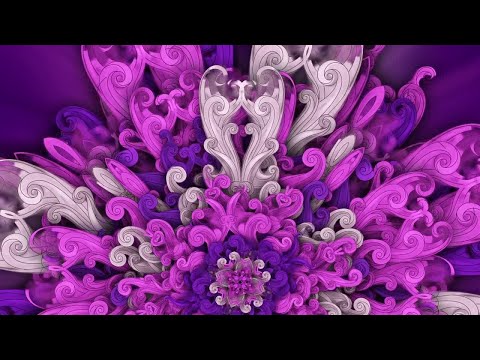 Kaleidoscopic Purple Flowe Motion Graphics
