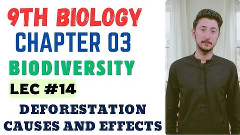 Deforestation causes and effects | 9th Biology | 9th Biology Chapter 3 Biodiversity | MDCAT