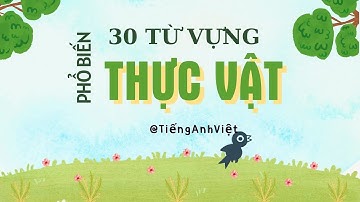 30 TỪ VỰNG về THỰC VẬT  | PLANT Vocabulary Tiếng Anh Việt #plants  #nature #english #vocabulary