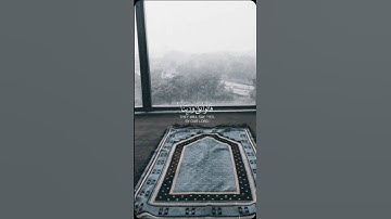 #القارئ #ياسر_الدوسري #تلاوة_خاشعة #قرآن #ارح_قلبك #راحة_نفسية