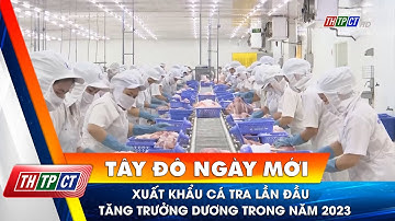 Xuất khẩu cá tra lần đầu tăng trưởng dương trong năm 2023| Cần Thơ TV