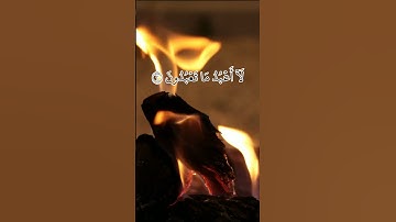 #قرآن_كريم #تلاوة_هادئة #راحة_نفسية #quran #صوت_جميل