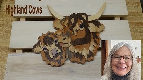 Figuurzaagsegmentatie Hooglanders